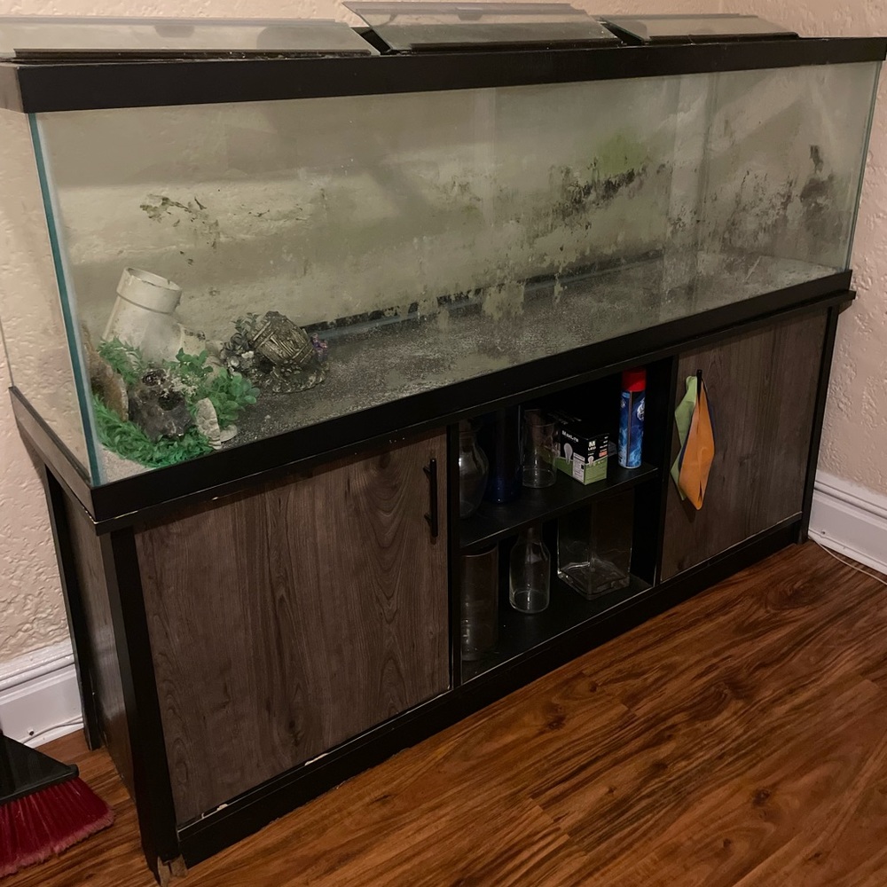 125 Gallon Tank With Filter, Lights And Replaceable Storage Base
